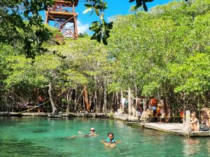 Journée découverte de l'île d'Holbox avec VRM