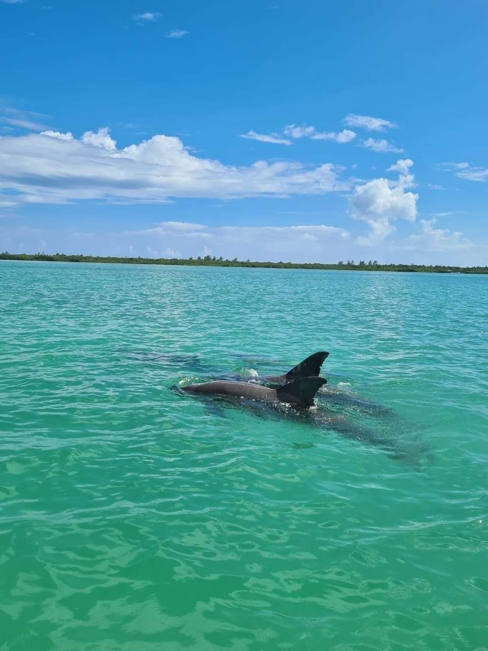 Découvrez la Réserve Naturelle de Sian Ka’an : Un Paradis Naturel au Cœur du Mexique Découvrez la Réserve Naturelle de Sian Ka’an : Un Paradis Naturel au Cœur du Mexique