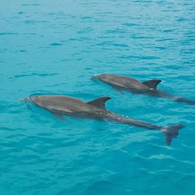 Découvrez la réserve naturelle de Sian Ka'an: Le paradis du Mexique