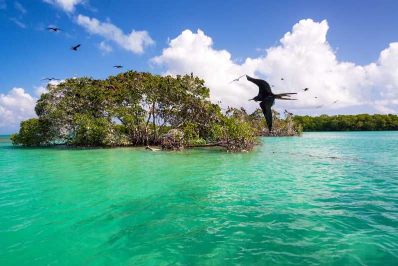 Découvrez la Réserve Naturelle de Sian Ka’an : Un Paradis Naturel au Cœur du Mexique Découvrez la Réserve Naturelle de Sian Ka’an : Un Paradis Naturel au Cœur du Mexique