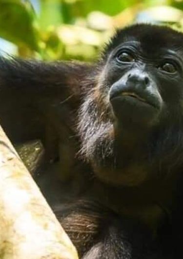 Coba, Punta Laguna, Cenote