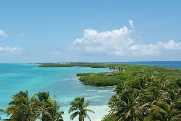 Engagez-vous avec nous pour un avenir plus vert