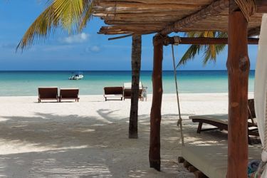 D&eacute;couvrez la simplicit&eacute; de l'aventure avec VRM