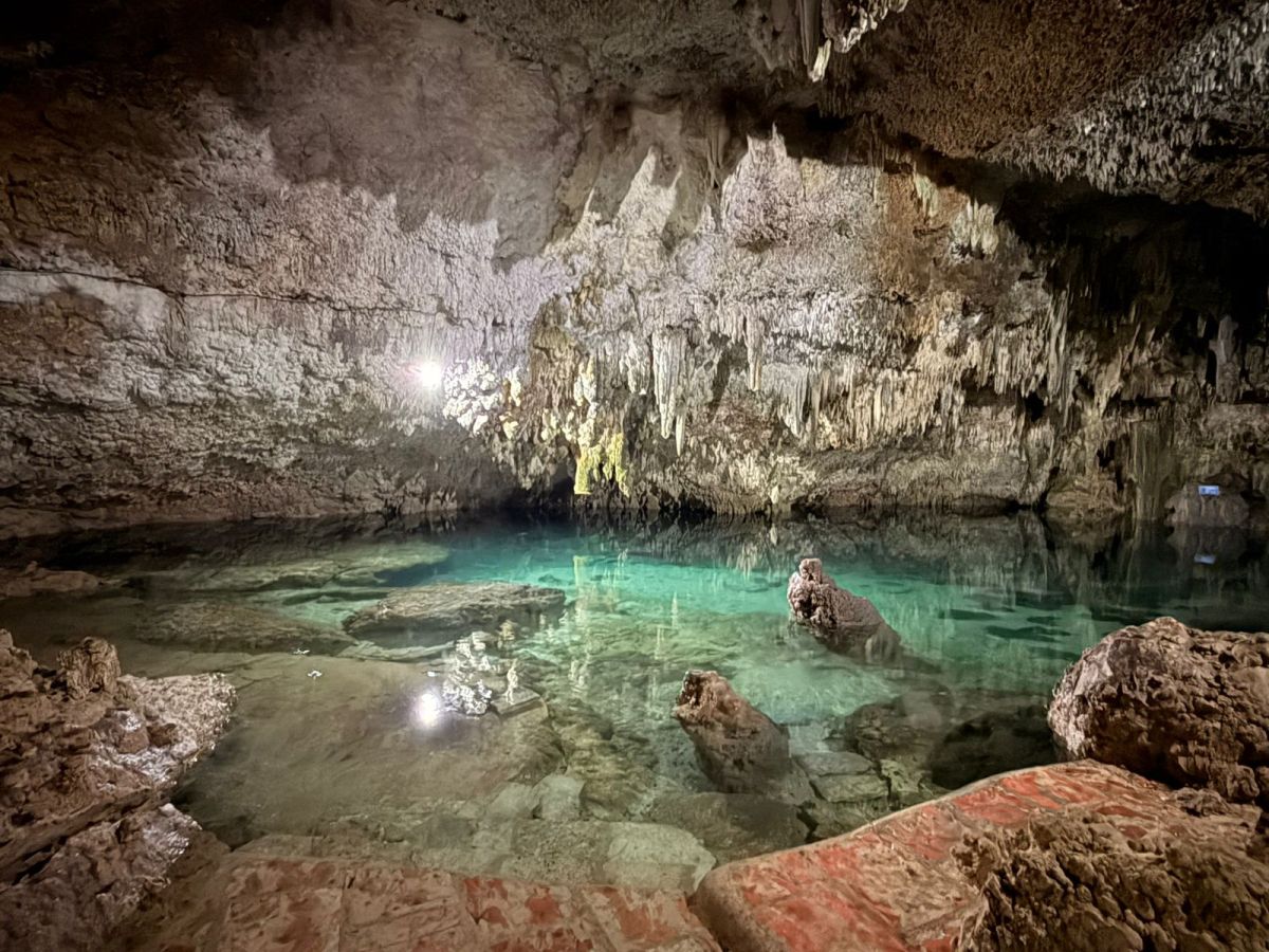 Excursion Coba Punta Laguna