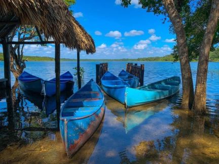 Visite de Coba et découverte de Punta Laguna au Yucatan